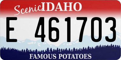 ID license plate E461703