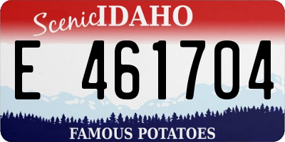 ID license plate E461704