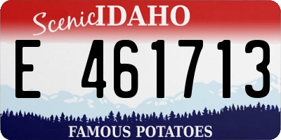 ID license plate E461713