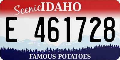 ID license plate E461728