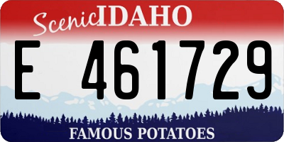 ID license plate E461729