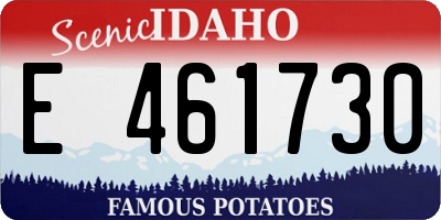 ID license plate E461730