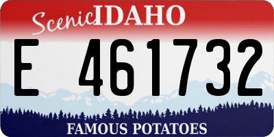ID license plate E461732
