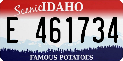 ID license plate E461734
