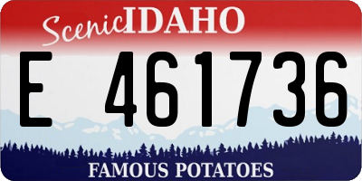ID license plate E461736