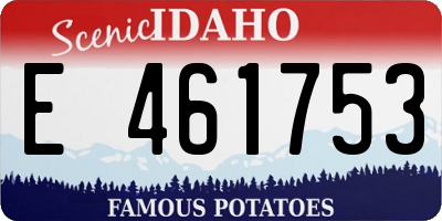 ID license plate E461753