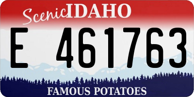 ID license plate E461763