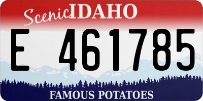 ID license plate E461785