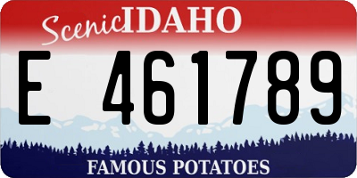 ID license plate E461789