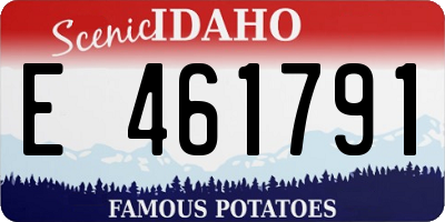 ID license plate E461791