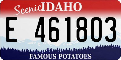 ID license plate E461803