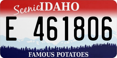 ID license plate E461806