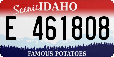 ID license plate E461808