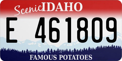 ID license plate E461809