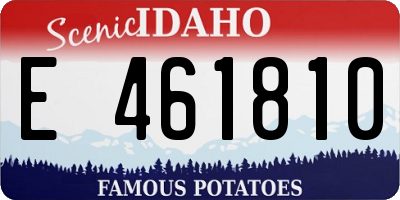 ID license plate E461810