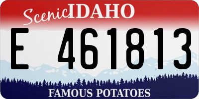 ID license plate E461813