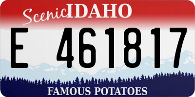 ID license plate E461817