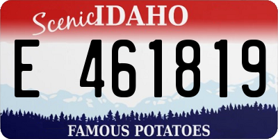 ID license plate E461819