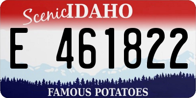 ID license plate E461822