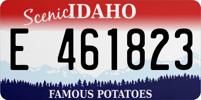 ID license plate E461823