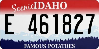 ID license plate E461827