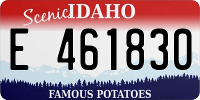 ID license plate E461830