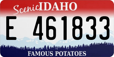ID license plate E461833