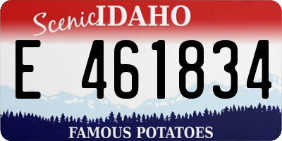 ID license plate E461834