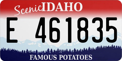 ID license plate E461835