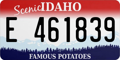 ID license plate E461839