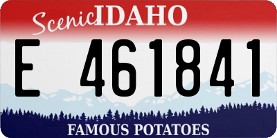 ID license plate E461841