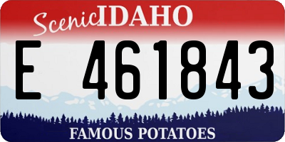ID license plate E461843