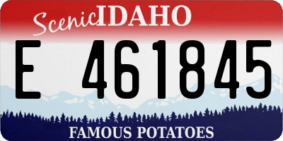 ID license plate E461845