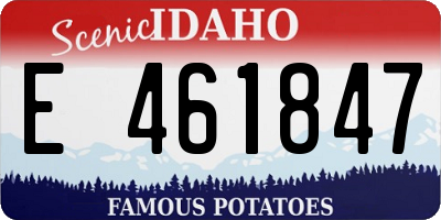 ID license plate E461847