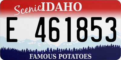 ID license plate E461853