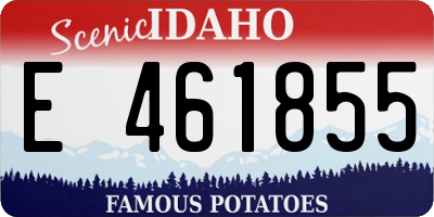 ID license plate E461855