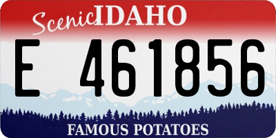 ID license plate E461856