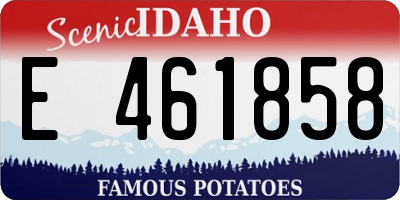 ID license plate E461858