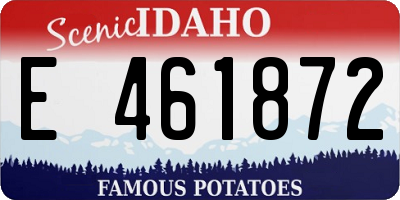 ID license plate E461872