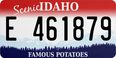 ID license plate E461879