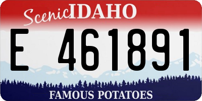 ID license plate E461891
