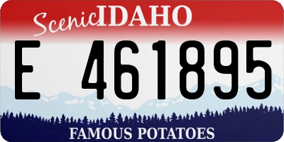 ID license plate E461895