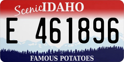 ID license plate E461896