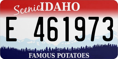 ID license plate E461973