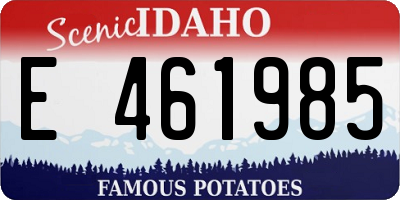 ID license plate E461985
