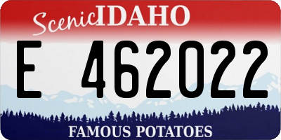 ID license plate E462022