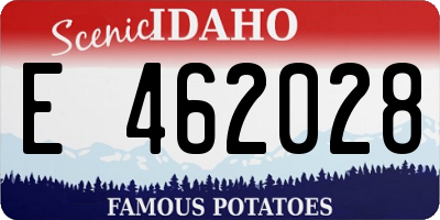 ID license plate E462028