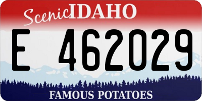 ID license plate E462029