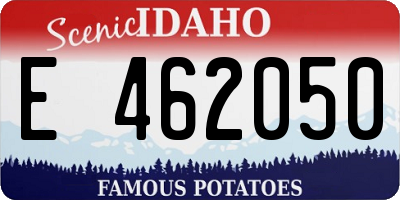 ID license plate E462050