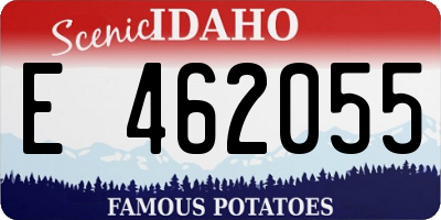ID license plate E462055